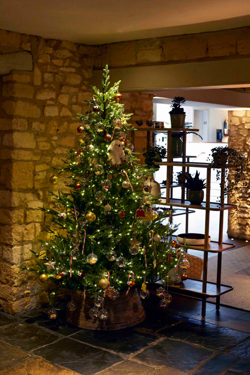500x750-Christmas-Tree-Dormy Christmas Tree Dormy House<br />